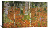 Farmhouse With Birch Trees Canvas Art