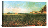 Farmhouses in a Wheat Field Near Arles Canvas Art