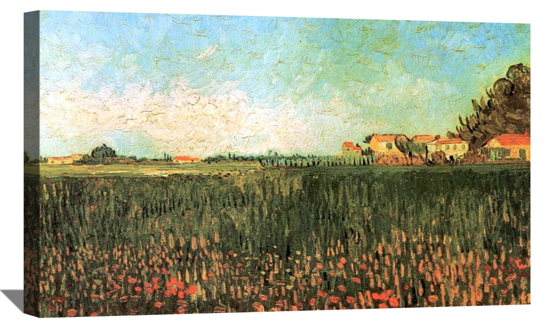 Farmhouses in a Wheat Field Near Arles Canvas Art