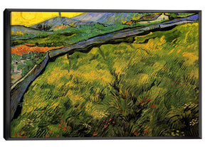 Field of Spring Wheat at Sunrise Canvas Art