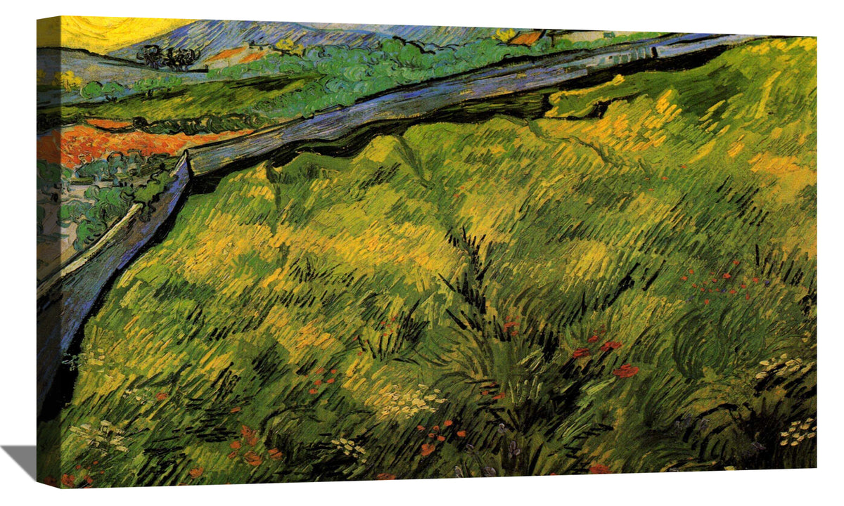 Field of Spring Wheat at Sunrise Canvas Art