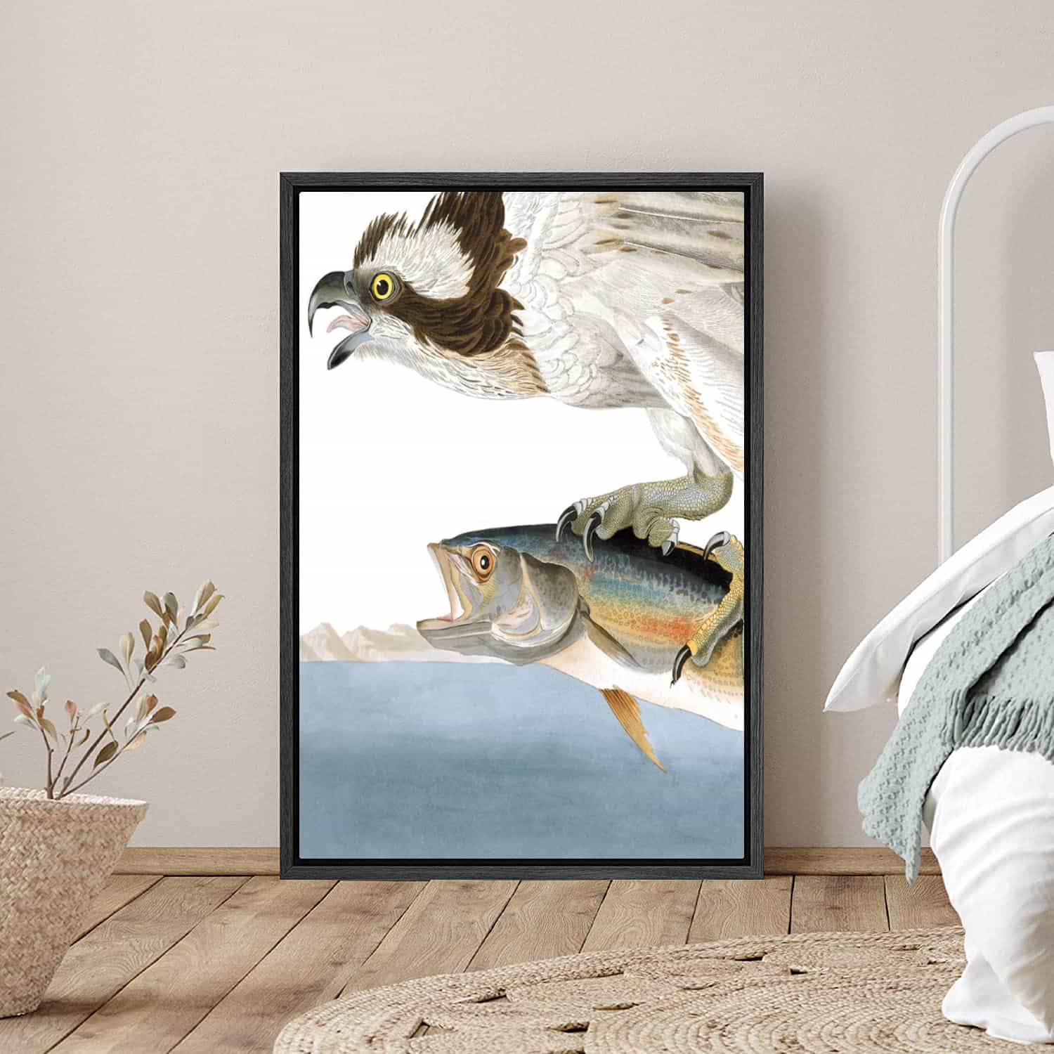 Fish Hawk Canvas Art
