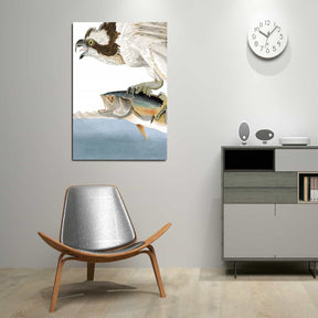Fish Hawk Canvas Art