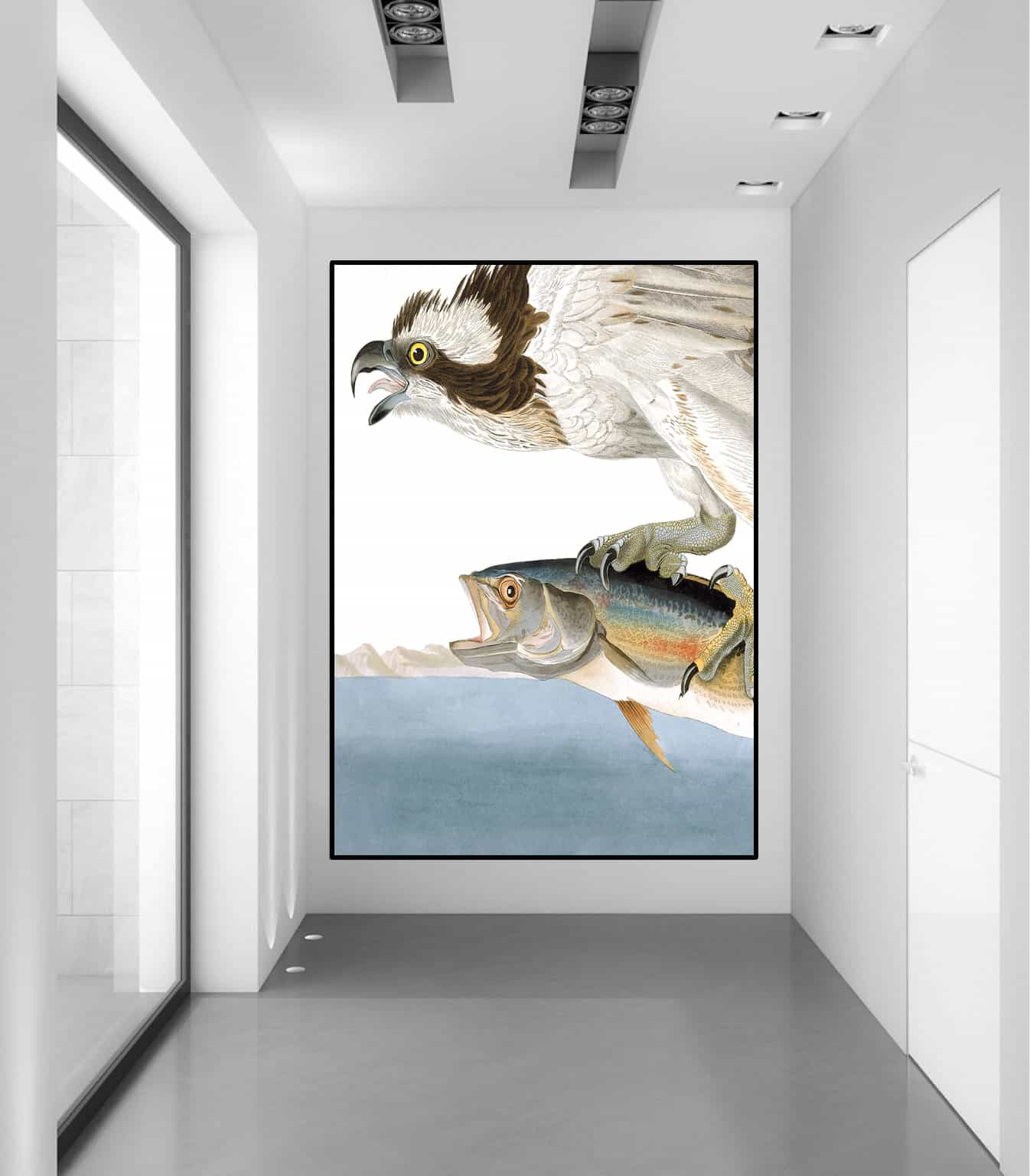 Fish Hawk Canvas Art