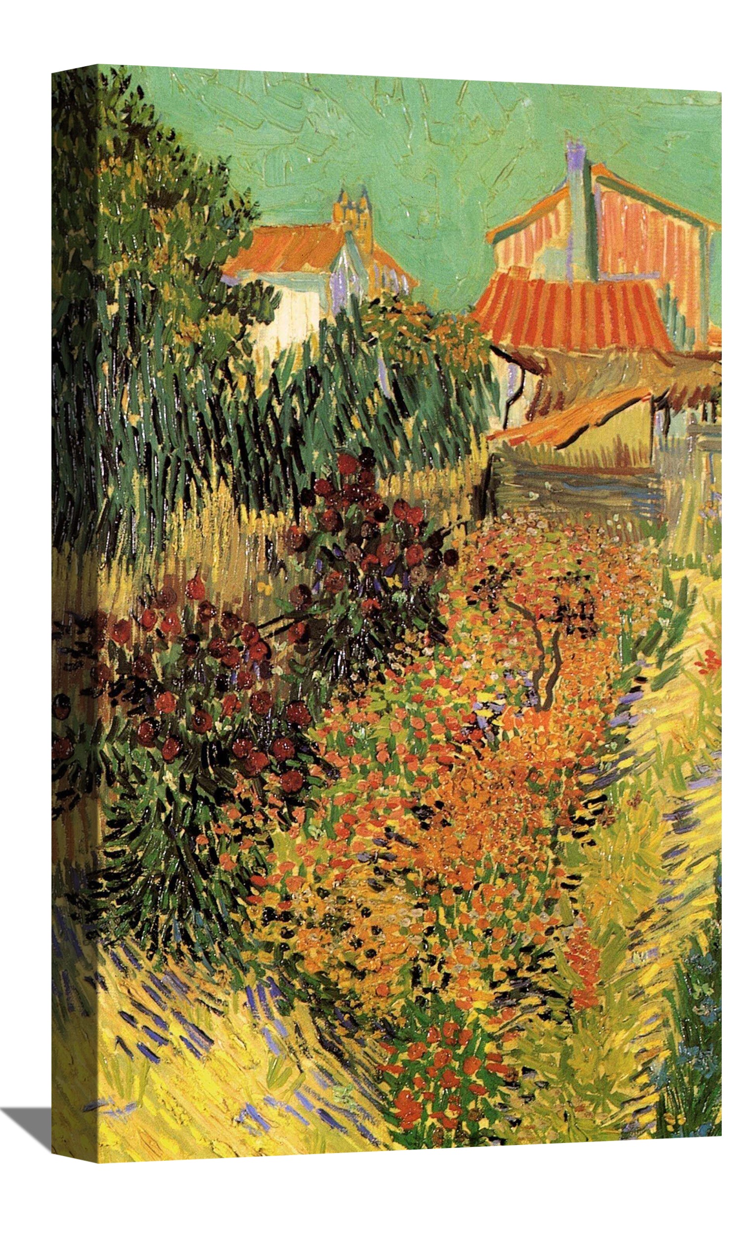 Garden Behind a House Canvas Art