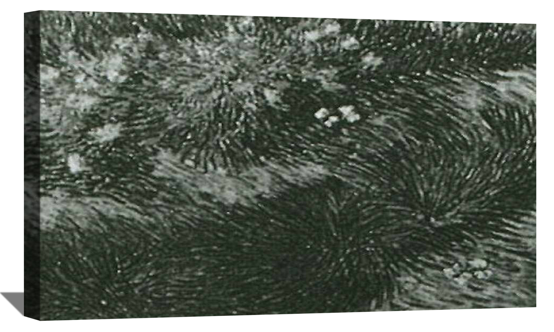 Grass and Butterflies Canvas Art