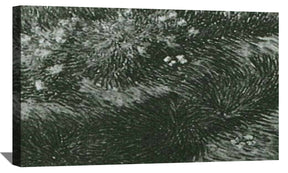 Grass and Butterflies Canvas Art