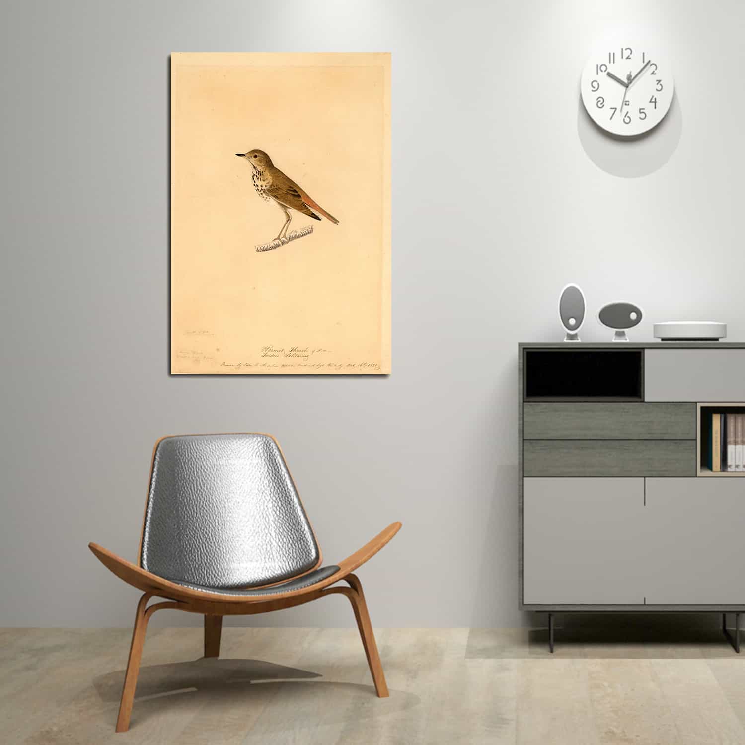 Hermit Thrush Canvas Art