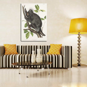 Hystrix Dorsata Canvas Art