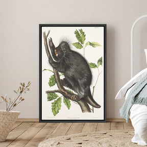 Hystrix Dorsata Canvas Art