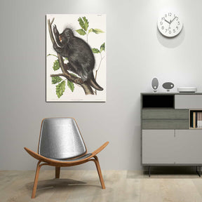 Hystrix Dorsata Canvas Art