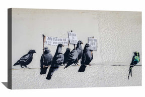Immigration birds Canvas Art