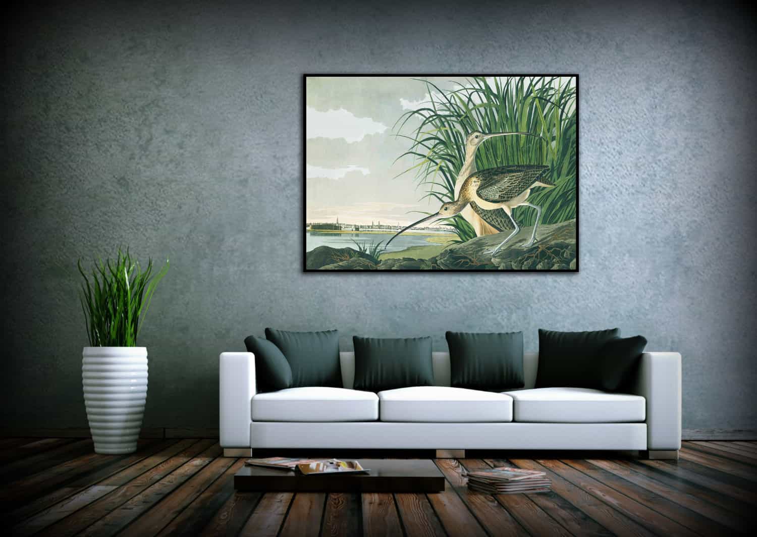 Long billed Curlew Canvas Art