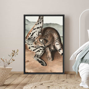 Lynx Rufus Canvas Art