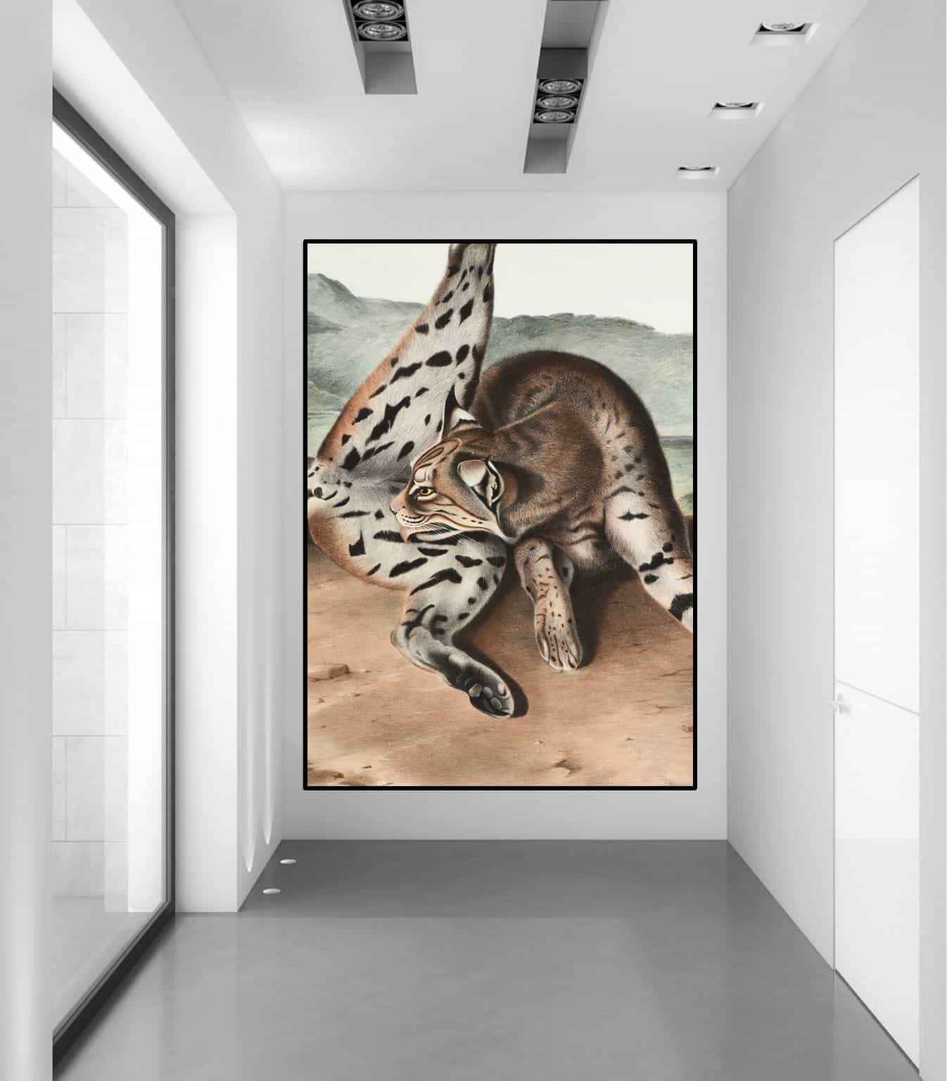 Lynx Rufus Canvas Art