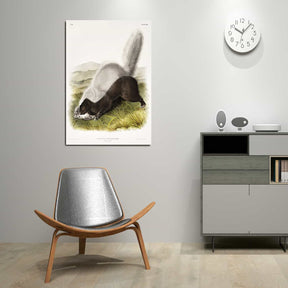 Mephitis Mesoleuca Canvas Art