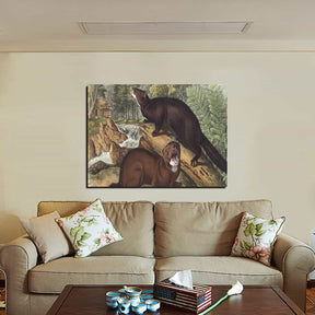 Mink Canvas Art