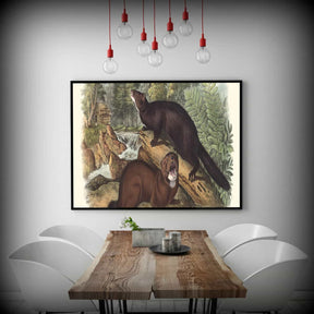 Mink Canvas Art