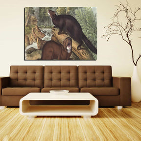 Mink Canvas Art