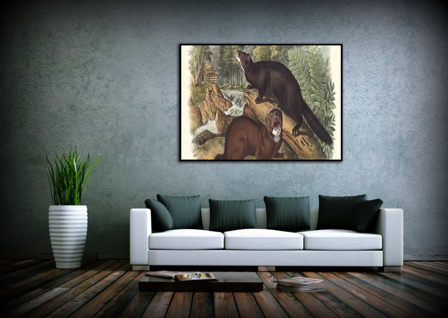 Mink Canvas Art