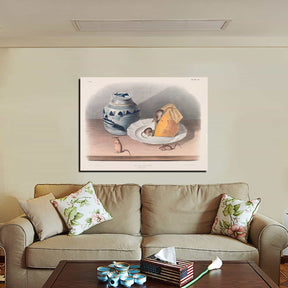 Mus Musculus Canvas Art