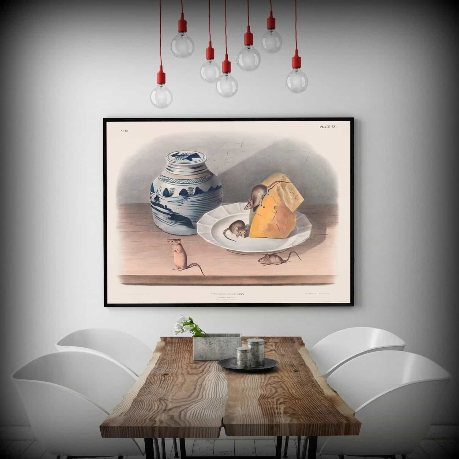 Mus Musculus Canvas Art