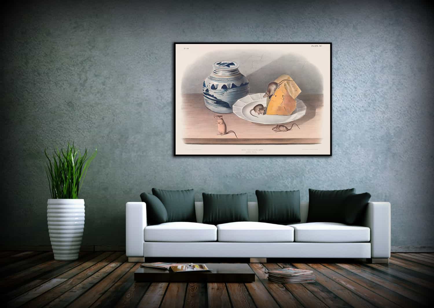 Mus Musculus Canvas Art