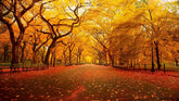 Central Park Maple Canvas Art