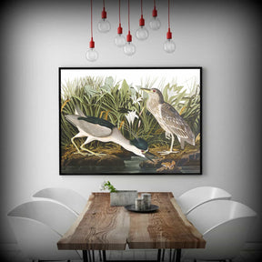 Night Heron Canvas Art
