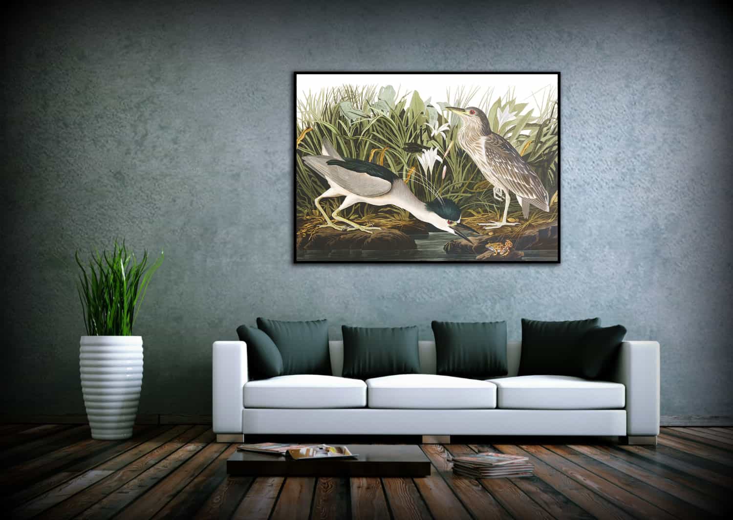Night Heron Canvas Art