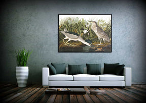 Night Heron Canvas Art
