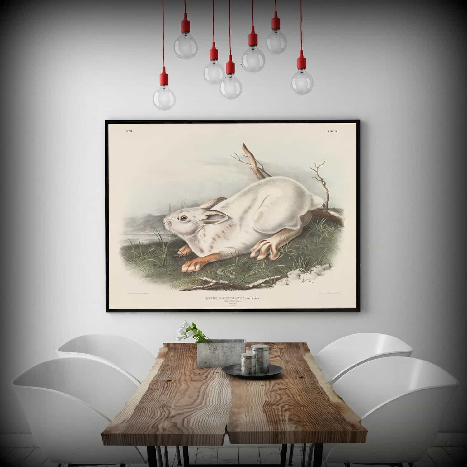 Northern Hare Canvas Art