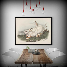 Northern Hare Canvas Art