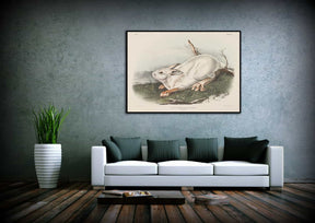 Northern Hare Canvas Art