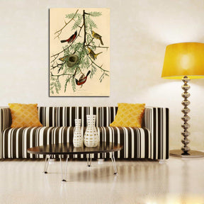 Orchard Oriole Canvas Art