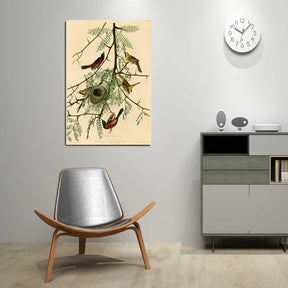 Orchard Oriole Canvas Art