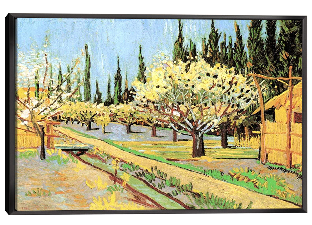 Orchard in Blossom Bordered by Cypresses Canvas Art