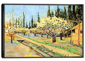 Orchard in Blossom Bordered by Cypresses Canvas Art