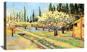 Orchard in Blossom Bordered by Cypresses Canvas Art