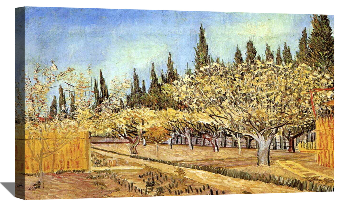 Orchard in Blossom Bordered by Cypresses 2 Canvas Art
