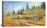Orchard in Blossom Bordered by Cypresses 2 Canvas Art