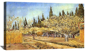 Orchard in Blossom Bordered by Cypresses 2 Canvas Art