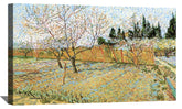 Orchard with Peach Trees in Blossom Canvas Art