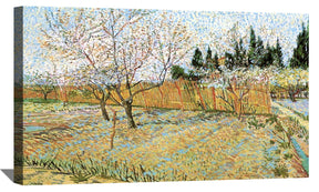 Orchard with Peach Trees in Blossom Canvas Art