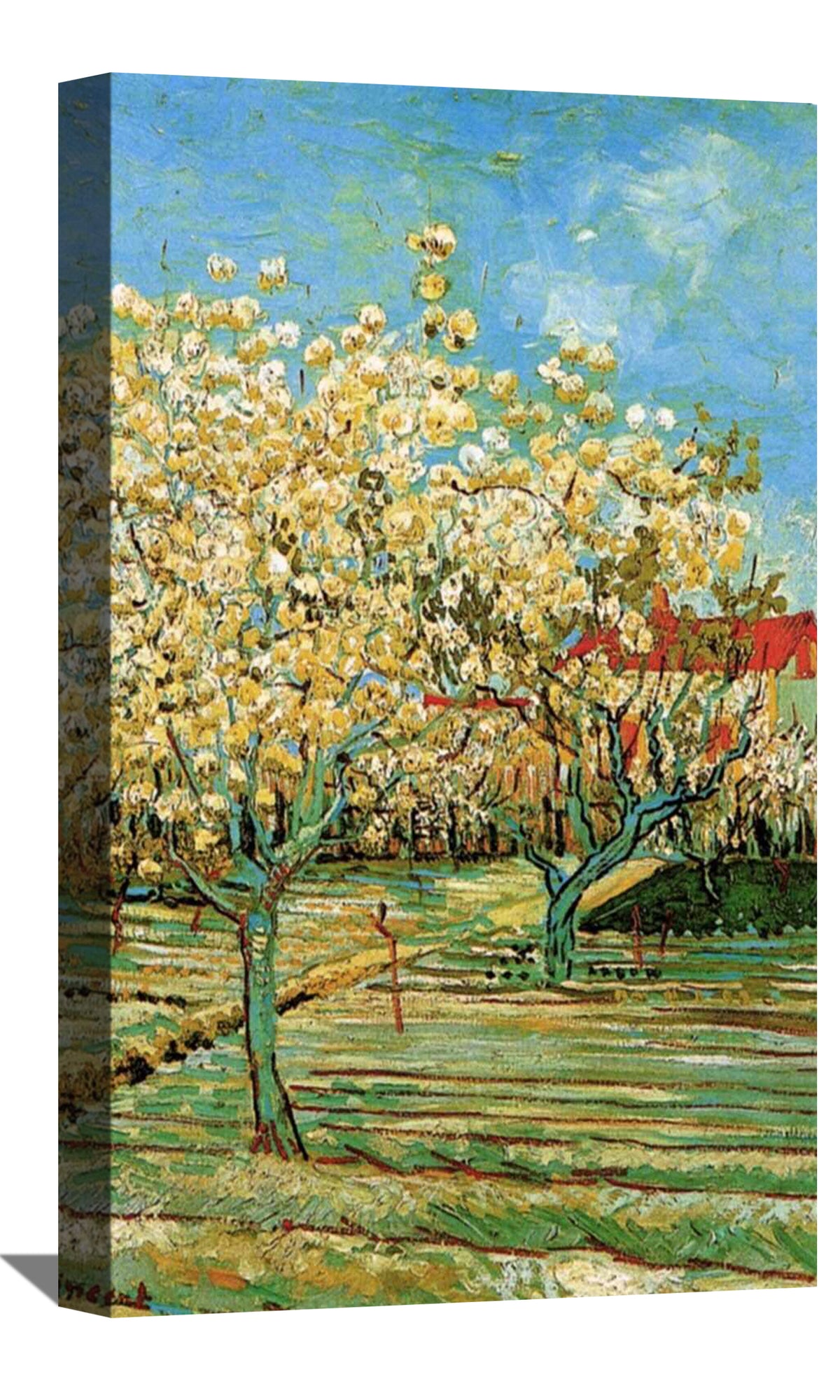 Orchard In Blossom 3 Canvas Art