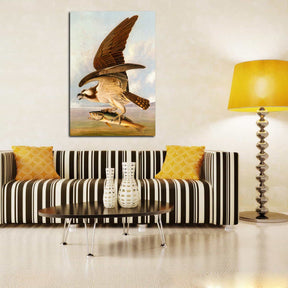 Osprey and Weakfish Canvas Art