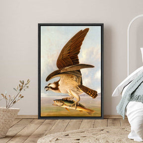 Osprey and Weakfish Canvas Art