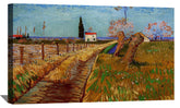 Path Through A Field With Willows Canvas Art