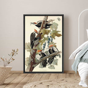 Pileated Woodpecker Canvas Art