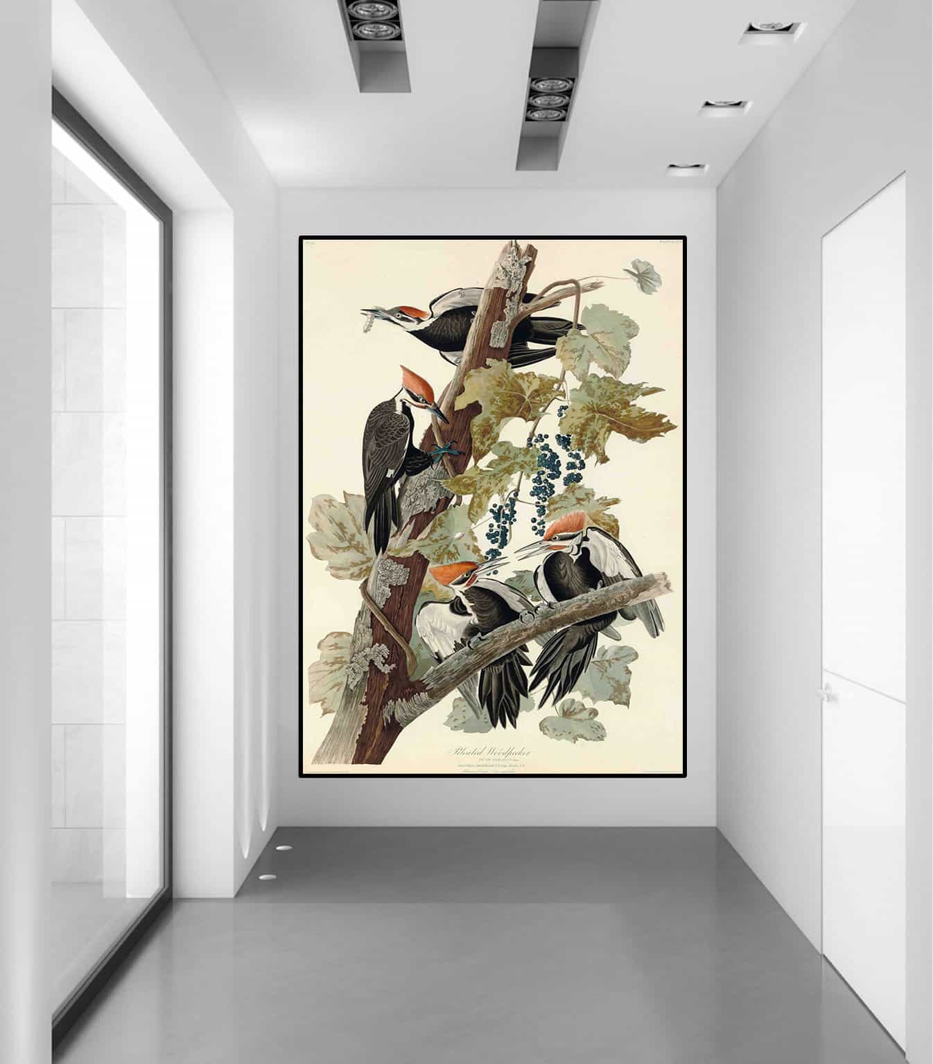 Pileated Woodpecker Canvas Art